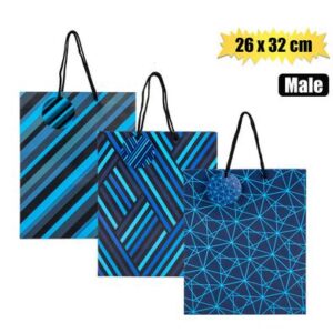 Gift-bag paper lrg 26x32cm every male