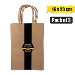 Gift-bag craft ppr 3 pack med 16x23cm