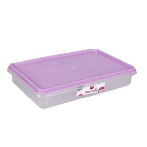 Container foodsaver rectangular