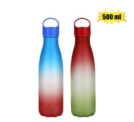 Water bottle matt painted 500ml